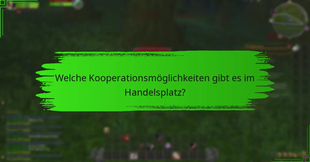 Welche Kooperationsmöglichkeiten gibt es im Handelsplatz?